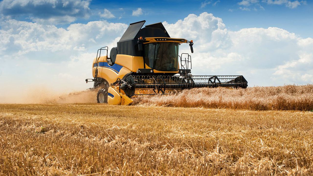 Menace d’une crise alimentaire mondiale : la Russie accusé de mettre le feu à des champs de céréales