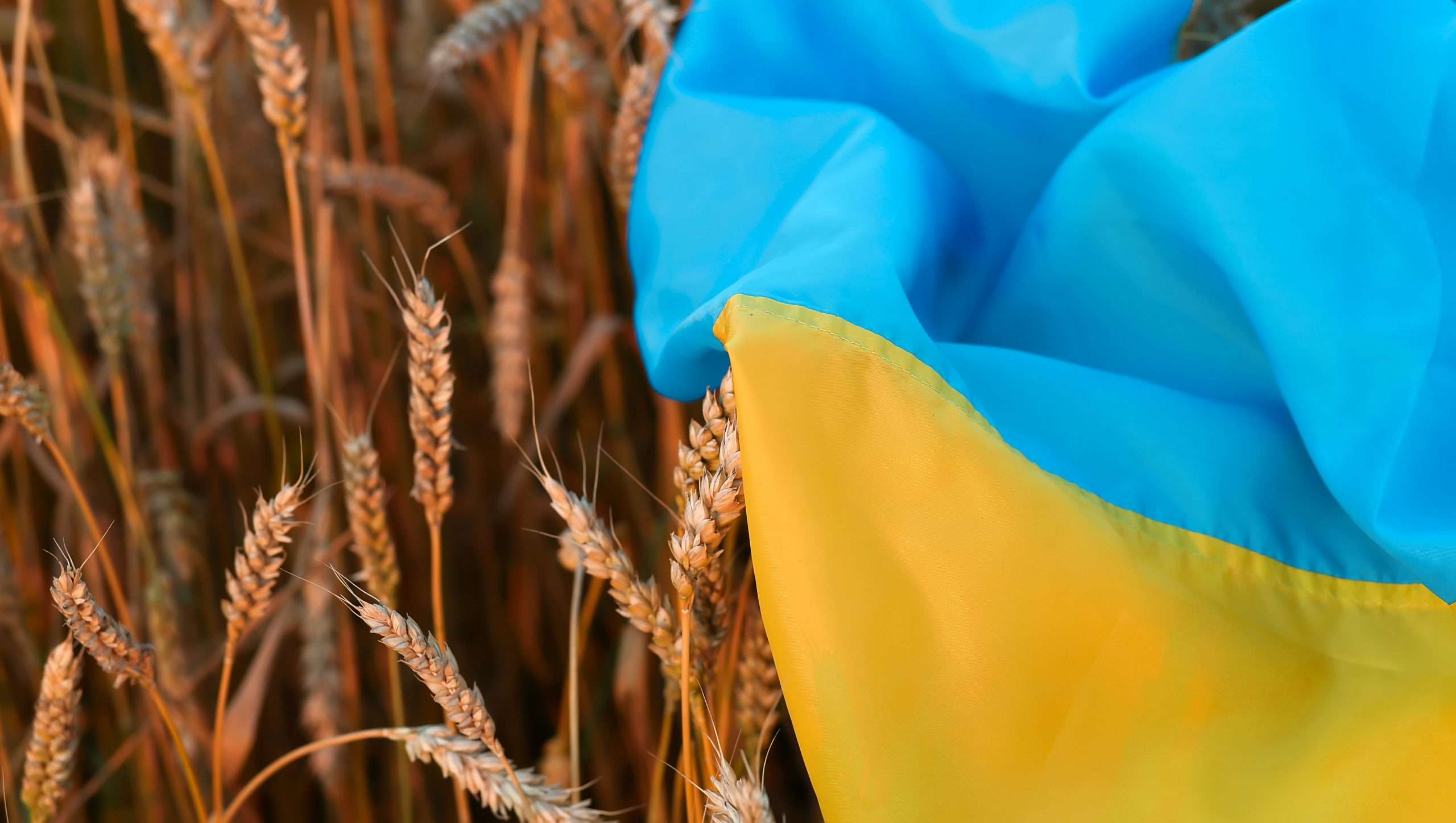 l’Ukraine expédie gratuitement des céréales aux pays africains